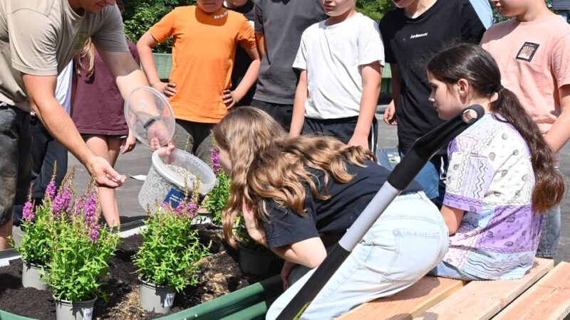 Theodor-Heuss-Gymnasium in Radevormwald: Schüler gestalten die Zukunft bei einer Projektwoche nachhaltig