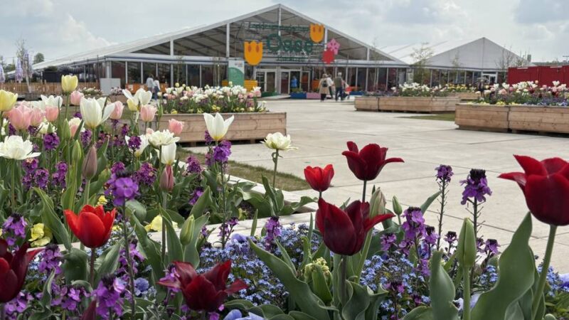 Festzelt der Landesgartenschau Neuss: Exotische Blumenschau holt die Ferne nach Neuss