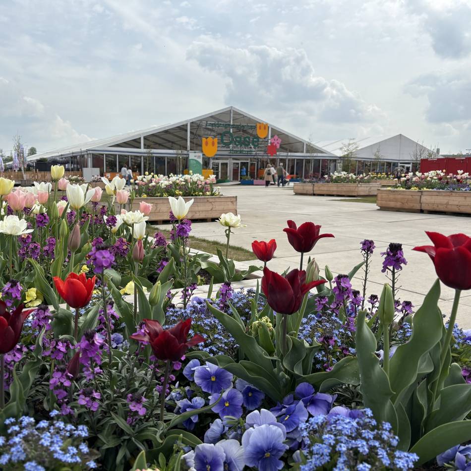 Festzelt der Landesgartenschau Neuss: Exotische Blumenschau holt die Ferne nach Neuss