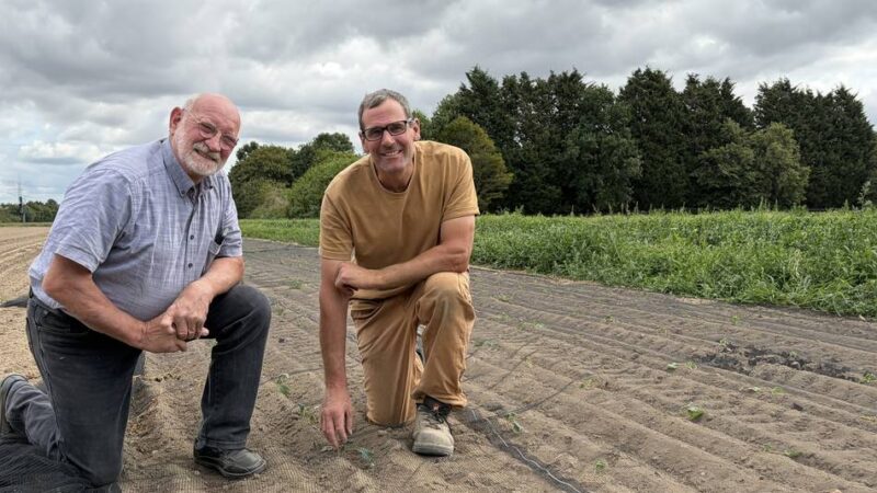 Bauern in Meerbusch: Landwirte kämpfen gegen Trockenheit – und steigende Kosten