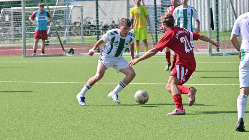 Sportanlagen in Dormagen: Fortschritte und Geduldsproben