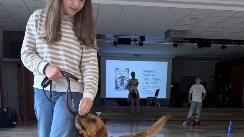 Friedrich-Ebert-Realschule Ratingen: „Mit Bailey wird jeder Schultag ein bisschen fröhlicher“