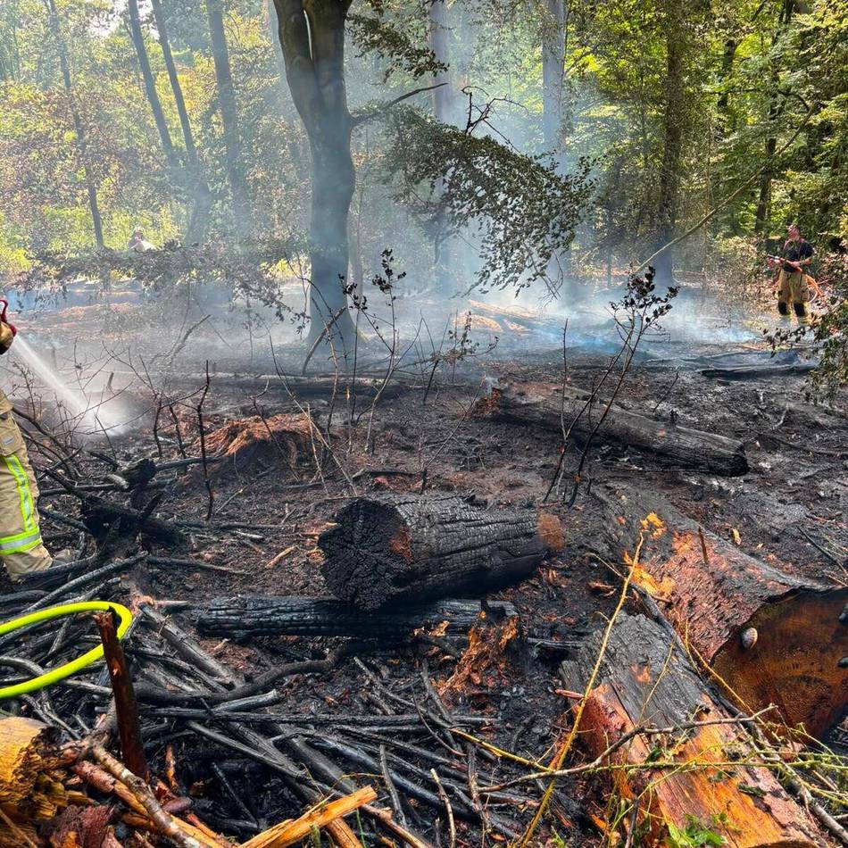 Vegetationsbrand im Wermelskirchen: Feuerwehr kämpft stundenlang gegen Waldbrand