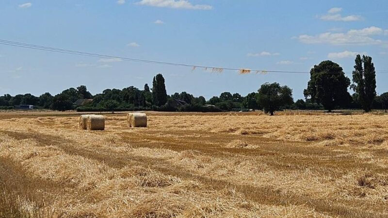 Am Annaberg in Rheinberg: Wirbelwind schleudert Stroh in die Luft