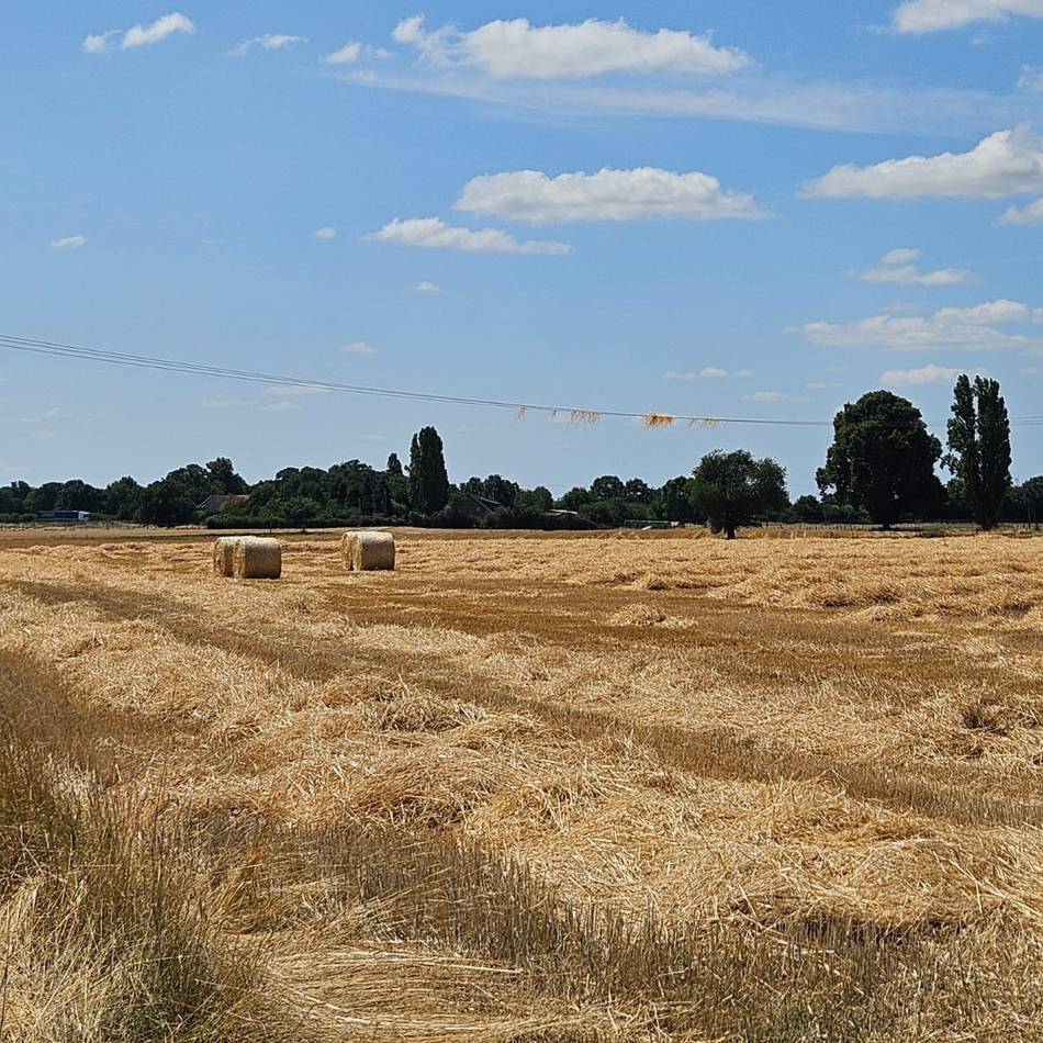 Am Annaberg in Rheinberg: Wirbelwind schleudert Stroh in die Luft