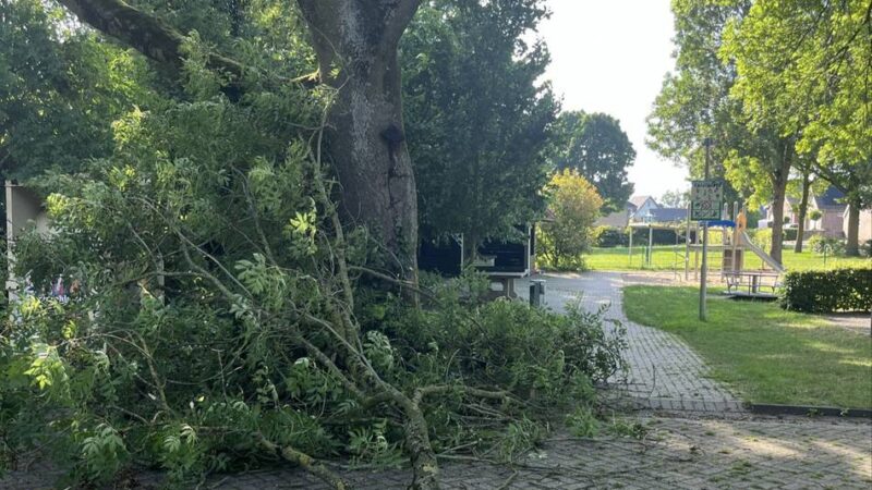 Bäume in Emmerich: Spielplatz in Dornick gesperrt – Äste brechen ab