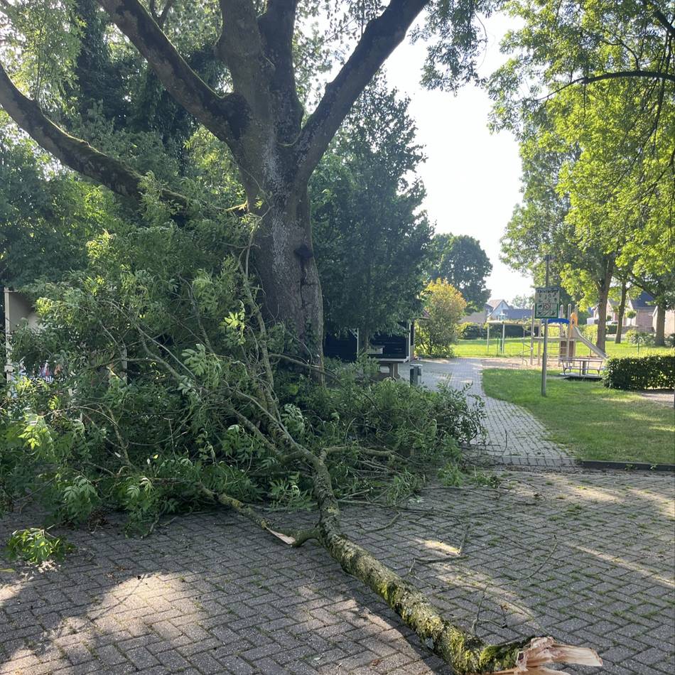 Bäume in Emmerich: Spielplatz in Dornick gesperrt – Äste brechen ab