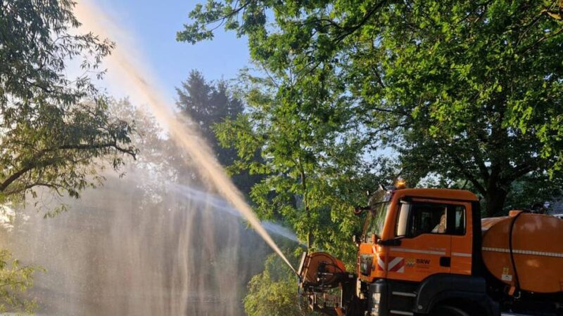 Abtskücher Teich in Heiligenhaus: Ein Teil der Fische soll umziehen
