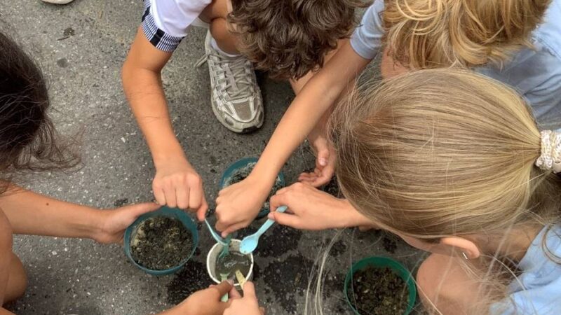 Umweltbildung in Ratingen: Samenkugeln für Wildbienen – Ratinger Schüler machen mit