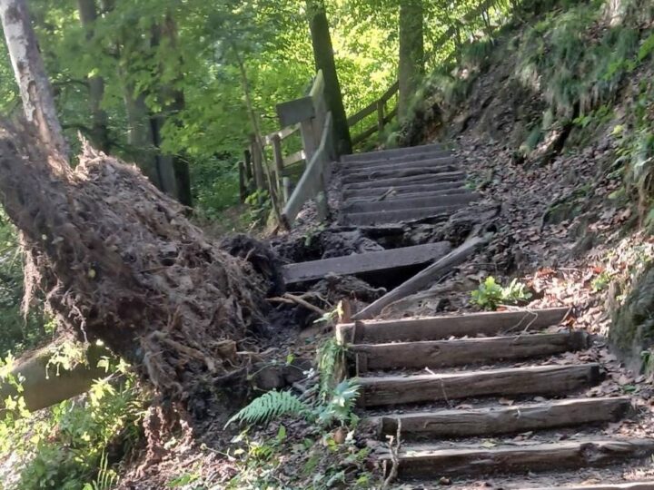 Nach dem Sturm in Mettmann und Erkrath: Weg am Eiszeitlichen Wildgehege gesperrt