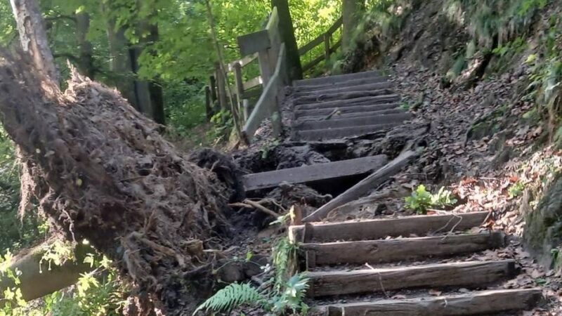 Nach dem Sturm in Mettmann und Erkrath: Weg am Eiszeitlichen Wildgehege gesperrt