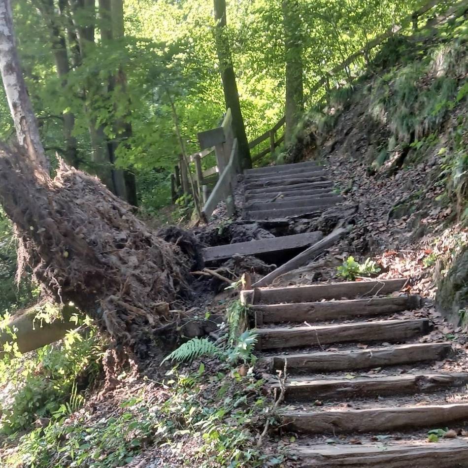 Nach dem Sturm in Mettmann und Erkrath: Weg am Eiszeitlichen Wildgehege gesperrt