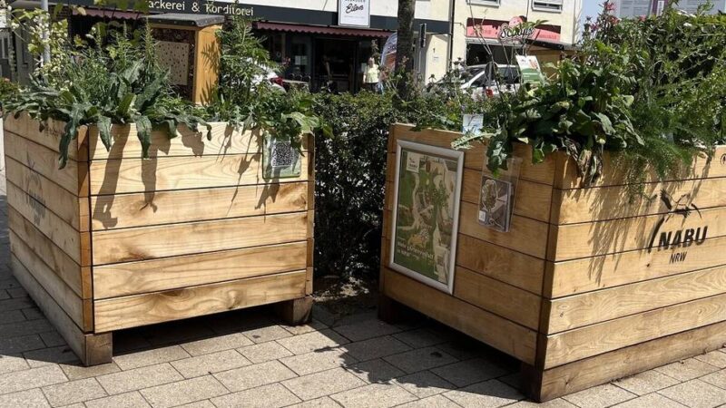 Stadtgrün in Monheim: Neue Bäume und spezielle Steine sollen das Zentrum kühlen