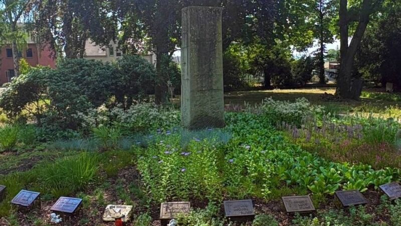 Denkmalpflege in Dormagen: Freier Blick aufs Mahnmal am Ehrenfriedhof