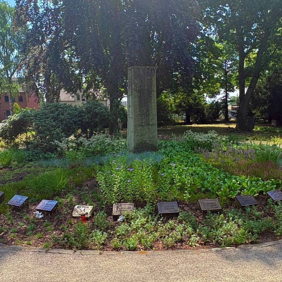 Denkmalpflege in Dormagen: Freier Blick aufs Mahnmal am Ehrenfriedhof