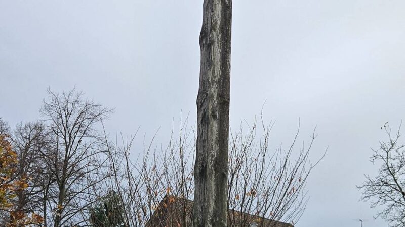 Aus Sicherheitsgründen: Stadt entfernt Holzkreuz am „Alten Friedhof“