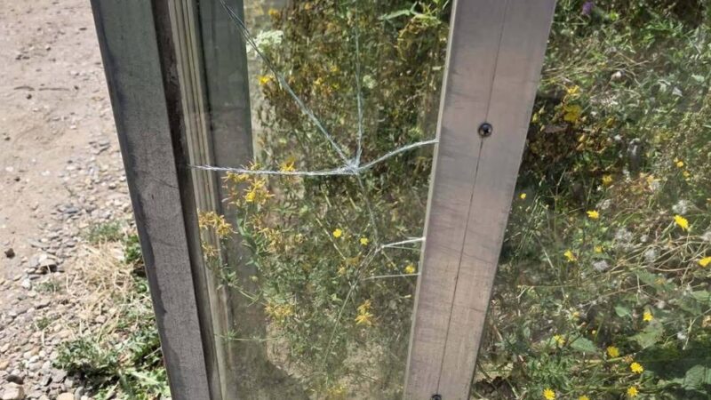 „Benehmen ist heute Glückssache“: Vandalismus im Rheinberger Terrazoo sorgt für Empörung