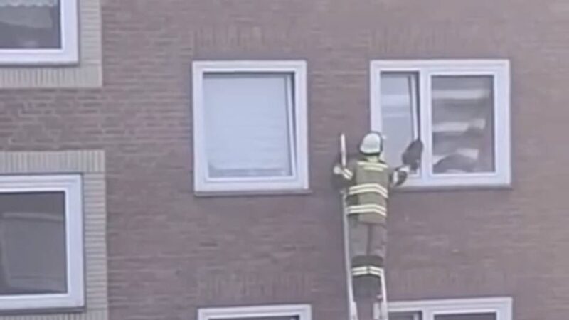 Vorfall in Voerde: Feuerwehr rettet eingeklemmte Katze aus gekipptem Fenster