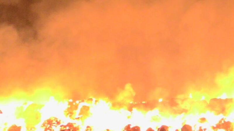 Mehr als 60 Alarmierungen in diesem Jahr: Hitze und kein Regen – die Brandgefahr in Düsseldorf steigt