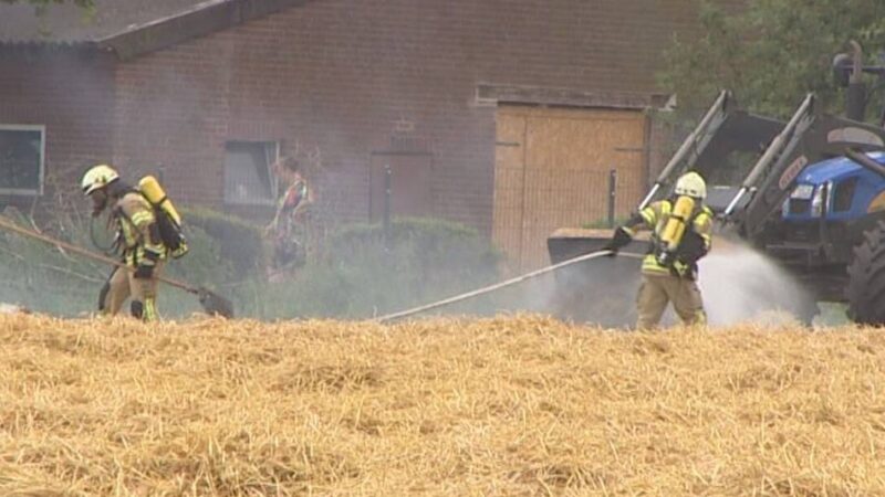 Feuer in Goch: Feldbrand in Pfalzdorf auf 1500 Quadratmetern hält die Feuerwehr in Atem