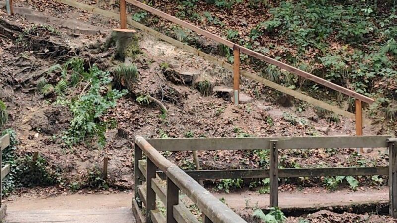 Eiszeitliches Wildgehege: Wanderweg nach Sturmschaden wieder geöffnet