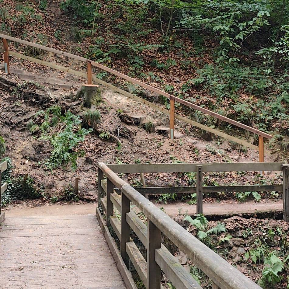Eiszeitliches Wildgehege: Wanderweg nach Sturmschaden wieder geöffnet