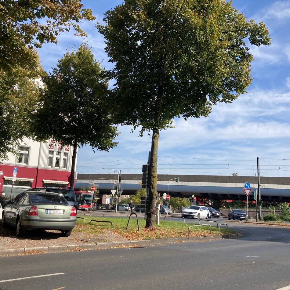 Stadtbaumkonzept gegen Klimawandel: Neue Straßenbäume in Düsseldorf – und drei Parkplätze fallen weg