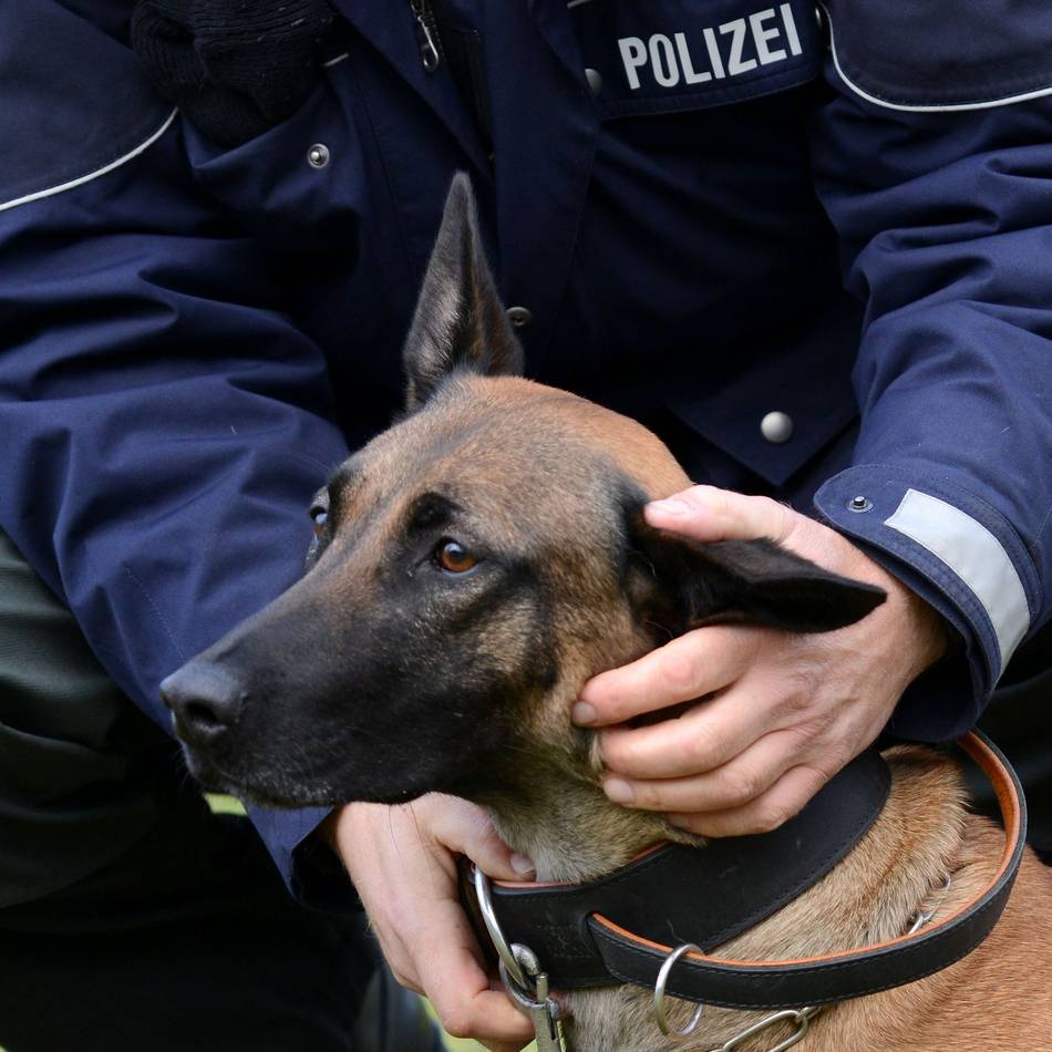 Polizeihund führt zu mutmaßlichen Tätern: Raubüberfall auf Tankstelle in Neuss – zwei Männer festgenommen