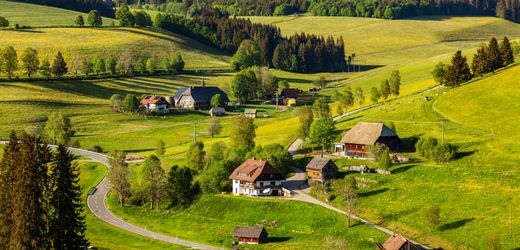 Schwarzwald-Urlaub: Immer mehr Spanier und Italiener reisen nach Deutschland