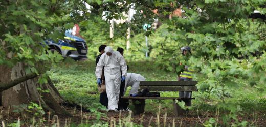 Leverkusen: 20-Jähriger in Park erstochen – Täter auf der Flucht