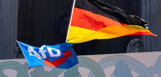 AfD: Mehr als Tausend Juristen verlangen Verbotsverfahren