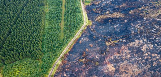 Hohes Venn: Behörden in Belgien prüfen mögliche Brandursache in der Landwirtschaft