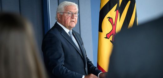 AfD in Sachsen-Anhalt: Steinmeier wirbt für Migration und warnt vor völkischer Ideologie