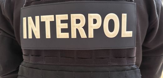 Love-Scam: Interpol gelingt Schlag gegen mutmaßliche Liebesbetrüger