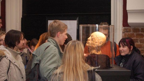 Plastinierte Menschen: Umstrittene Körper-Ausstellung kommt nach Velbert