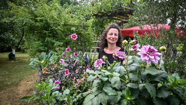 Aus Rasen wurde ein Paradies: Artenvielfalt vor der eigenen Haustür in Velbert
