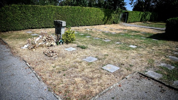 „Die Grabwiese ist ein Acker“: Witwer ist empört über einen Friedhof in Velbert