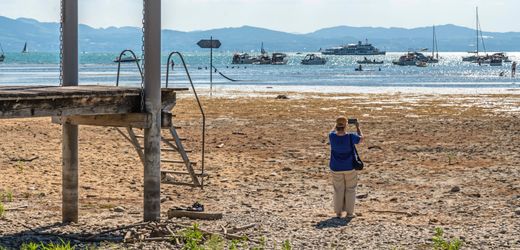 Rhein/Elbe/Bodensee: Experten erwarten noch weniger Wasser