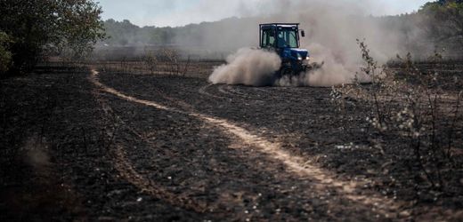 Österreich: So drastisch wirkt sich die Hitze auf das Land aus