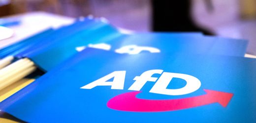 AfD – Rott am Inn: Ermittlungen gegen Michael Maurer wegen falscher Verdächtigung