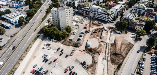 Tübingen: Wohnungsbau vs. Naturschutz – warum habe ich die Bäume vor meinem Büro nicht gerettet?