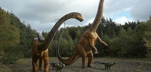 Dinosaurier: Darum gab es keine sehr kleinen Arten
