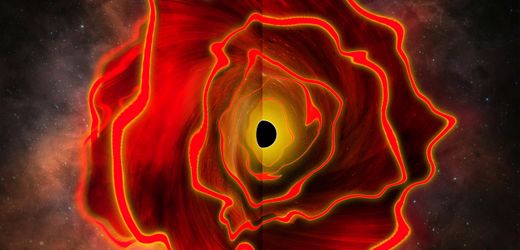 »James Webb«-Teleskop: Extrem heller Punkt könnte Schwarzes-Loch-Stern sein