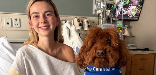 Sydney Towle an Krebs gestorben