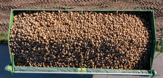 Lebensmittelpreise: Wie Ernteausfälle und Klimakrise den Speiseplan verändern werden