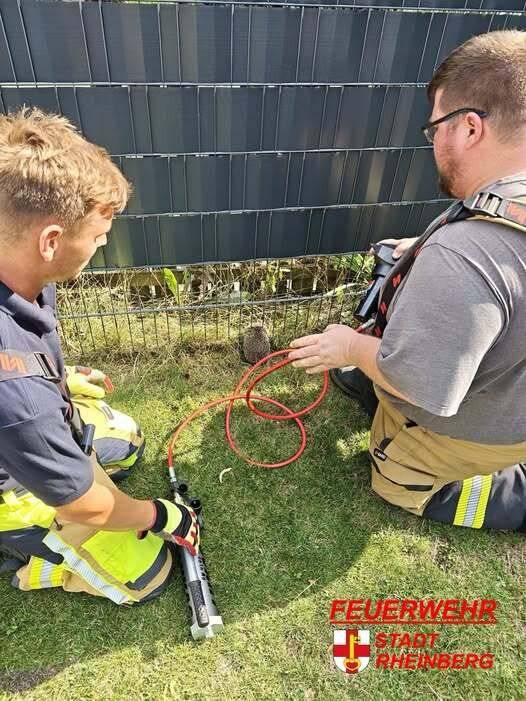 Einsatz im Rheinberger Norden: Feuerwehr befreit eingeklemmten Igel in Borth
