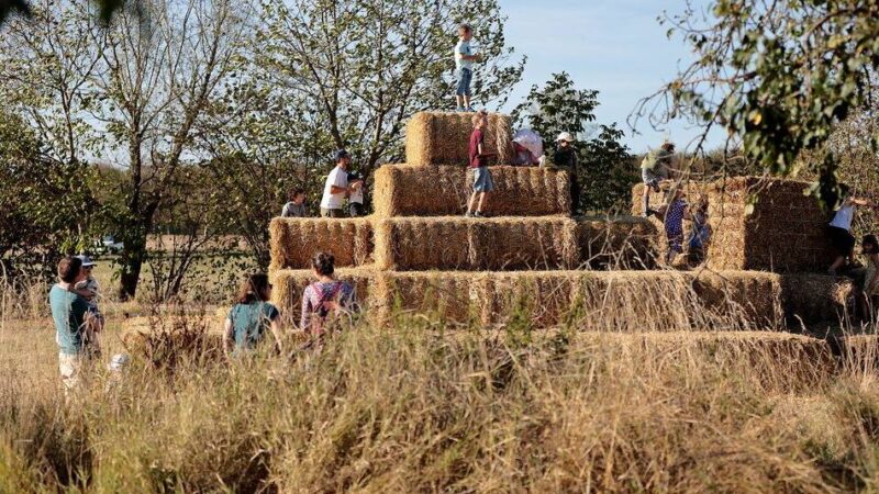 Landwirtschaftliche Einblicke in Kaarst: Hoffest bei Familie Hannen mit mehr als 60 Ständen