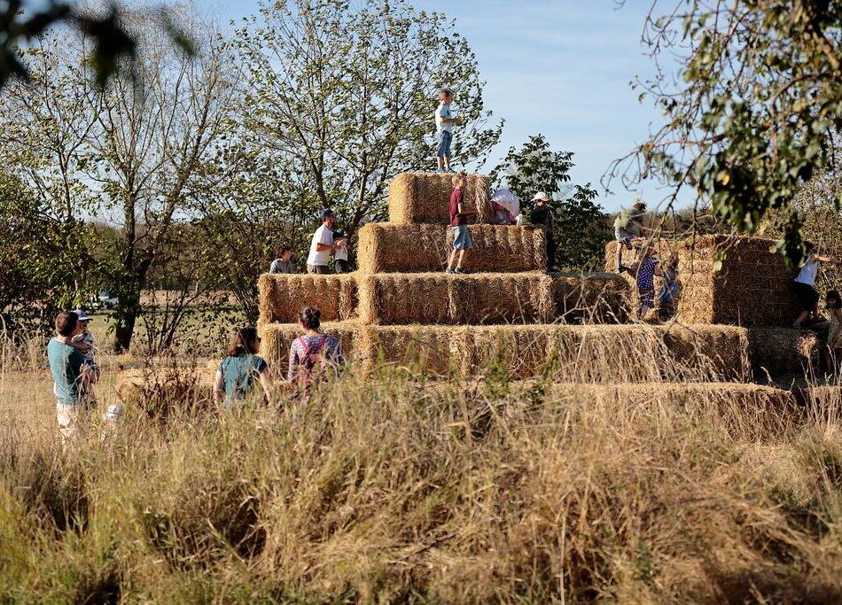 Landwirtschaftliche Einblicke in Kaarst: Hoffest bei Familie Hannen mit mehr als 60 Ständen