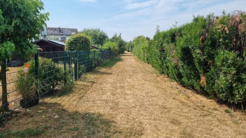 Mobilitätswende in Leverkusen: CDU-Politiker Scholz kritisiert Stillstand beim Radschnellweg