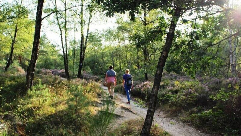 Natur erleben bei Nettetal: Was einen der schönsten Wanderwege Deutschlands ausmacht
